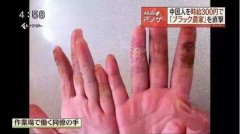 此也难以被认为是外劳中的白领